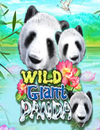 galaxy พนันอ่าน หนังสือพิมพ์ ตลาด ลูก หนัง วัน นี้: รีวิวเกมสล็อตสุดมันส์